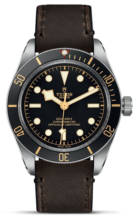 tudor black bay 58 ref. 79030n|tudor black bay 58 gilt.